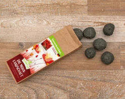 Samenbomben Die Mohnlandschaft (6 Stück) | Mohnsamen Von FLORTUS -Saat Wunder Verkäufe 562163 Samenbomben Die Mohnlandschaft 6 Stueck 2000 1054 3