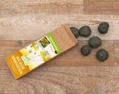 Samenbomben Der Gelbe Sonnenschein (6 Stück) | Blumensamenmischung Von FLORTUS -Saat Wunder Verkäufe 562164 Samenbomben Der Gelbe Sonnenschein 6 Stueck 2000 1055 3