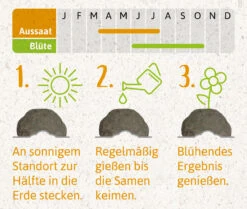 Samenbomben Der Gelbe Sonnenschein (6 Stück) | Blumensamenmischung Von FLORTUS -Saat Wunder Verkäufe 562164 Samenbomben Der Gelbe Sonnenschein 6 Stueck 2000 1055 4