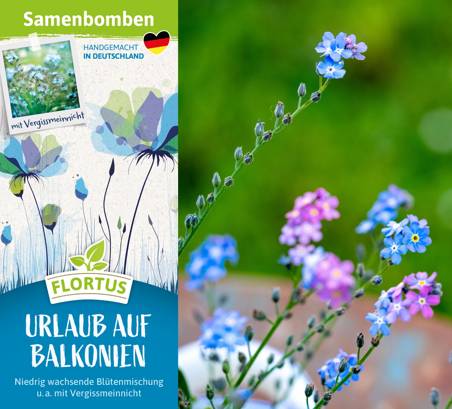 Samenbomben Urlaub Auf Balkonien (6 Stück) | Blumensamenmischung Von FLORTUS 4 Samenbomben Urlaub Auf Balkonien (6 Stück) | Blumensamenmischung Von FLORTUS – Bild 4
