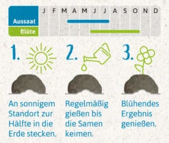 Samenbomben Urlaub Auf Balkonien (6 Stück) | Blumensamenmischung Von FLORTUS 11 Samenbomben Urlaub Auf Balkonien (6 Stück) | Blumensamenmischung Von FLORTUS -Saat Wunder Verkäufe 562167 Samenbomben Urlaub auf Balkonien 6 Stueck 2000 1058 4