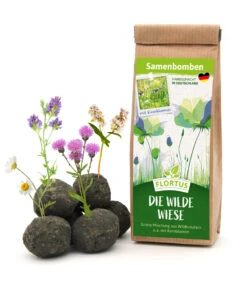 Samenbomben Die Wilde Wiese (6 Stück) | Wildblumenwiese Von FLORTUS -Saat Wunder Verkäufe 562168 Samenbomben Die wilde Wiese 6 Stueck 2000 1059 1