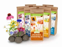 Samenbomben Set (8 Päckchen) | Blumensamenmischung Von FLORTUS 13 Samenbomben Set (8 Päckchen) | Blumensamenmischung Von FLORTUS -Saat Wunder Verkäufe 562498 Samenbomben Set 8 Paeckchen 2000 2367 1