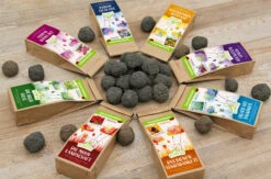 Samenbomben Set (8 Päckchen) | Blumensamenmischung Von FLORTUS 11 Samenbomben Set (8 Päckchen) | Blumensamenmischung Von FLORTUS -Saat Wunder Verkäufe 562498 Samenbomben Set 8 Paeckchen 2000 2367 3