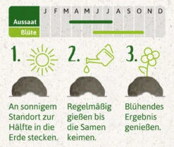 Samenbomben Set (8 Päckchen) | Blumensamenmischung Von FLORTUS 15 Samenbomben Set (8 Päckchen) | Blumensamenmischung Von FLORTUS -Saat Wunder Verkäufe 562498 Samenbomben Set 8 Paeckchen 2000 2367 4
