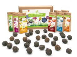 Samenbomben Set (8 Päckchen) | Blumensamenmischung Von FLORTUS 10 Samenbomben Set (8 Päckchen) | Blumensamenmischung Von FLORTUS -Saat Wunder Verkäufe 562498 Samenbomben Set 8 Paeckchen 2000 2367 5