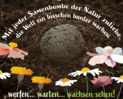 Samenbomben Set (8 Päckchen) | Blumensamenmischung Von FLORTUS 12 Samenbomben Set (8 Päckchen) | Blumensamenmischung Von FLORTUS -Saat Wunder Verkäufe 562498 Samenbomben Set 8 Paeckchen 2000 2367 7 1